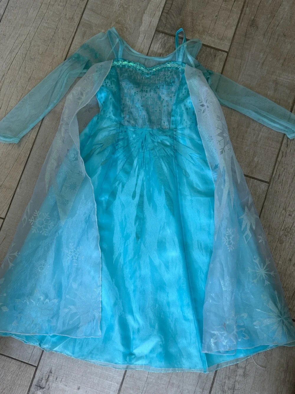 Disney Elsa gown